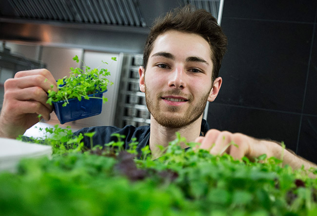 Wenn die Leidenschaft kocht