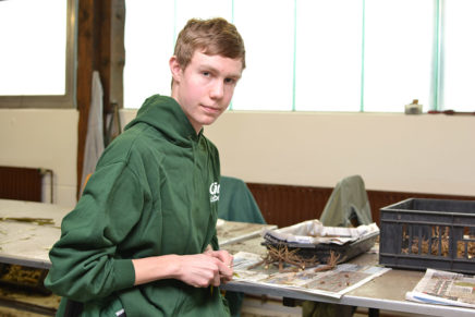 Jan Philipp Köhncke – Ausbildung zum Gärtner bei Schurig Jungpflanzen