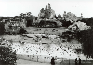 HAG_Afrika-Panorama_1920