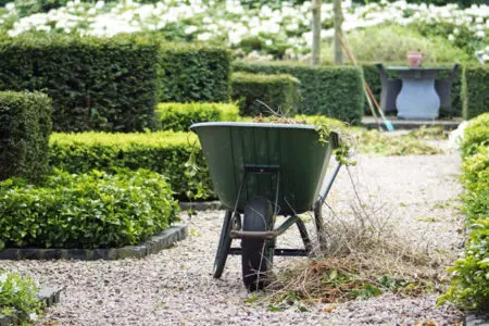 Ausbildung bei Gartenideen Stegemann
