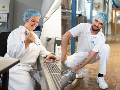 Ausbildung bei DMK