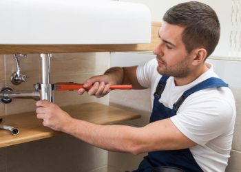 Ausbildung bei Wollmann