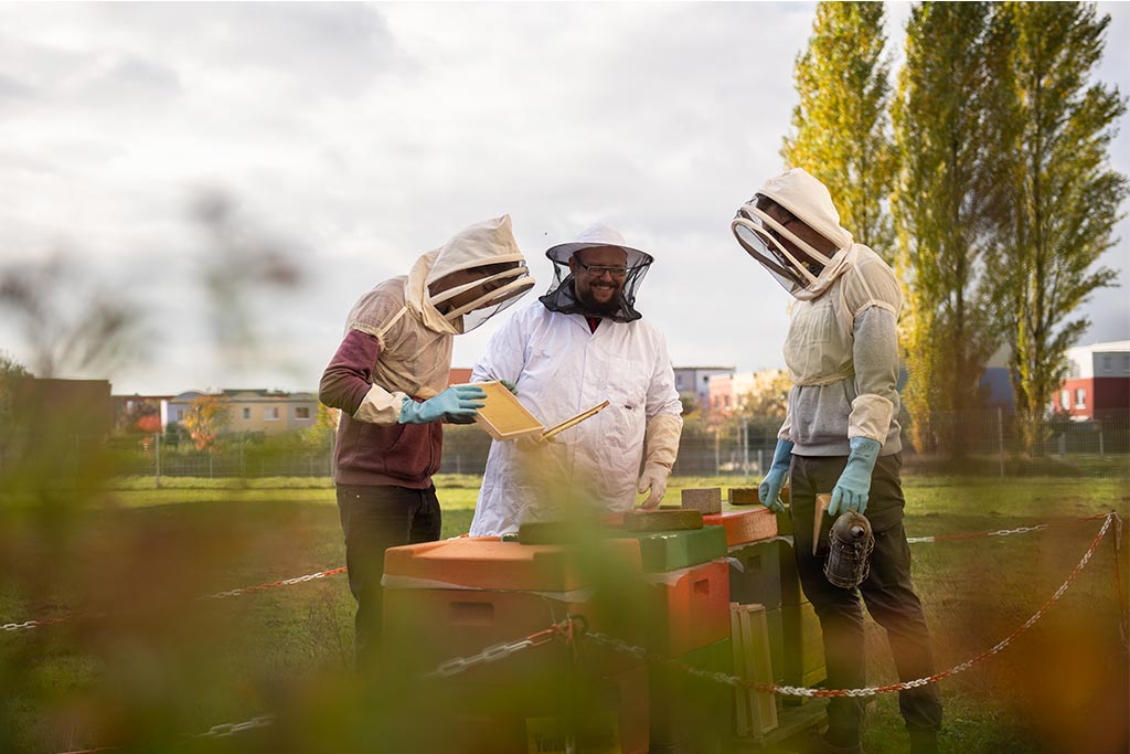 Bienen für die Zukunft – Nachhaltigkeit ist ein Thema an TH Lübeck
