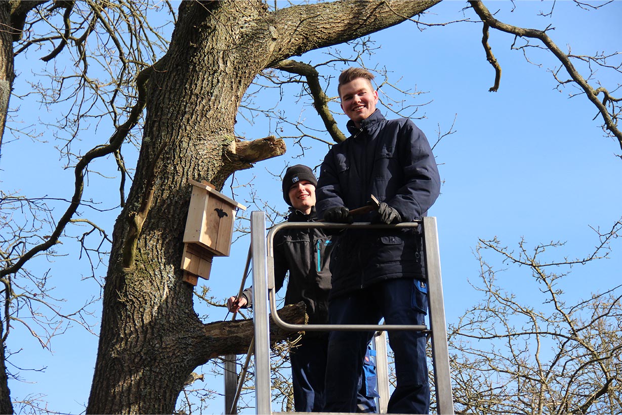 Ein nachhaltiges Realprojekt an der Siegfried-Lenz-Schule – Populationshilfe für Fledermäuse