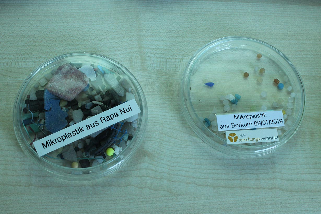 Mikroplastik in Petrischalen