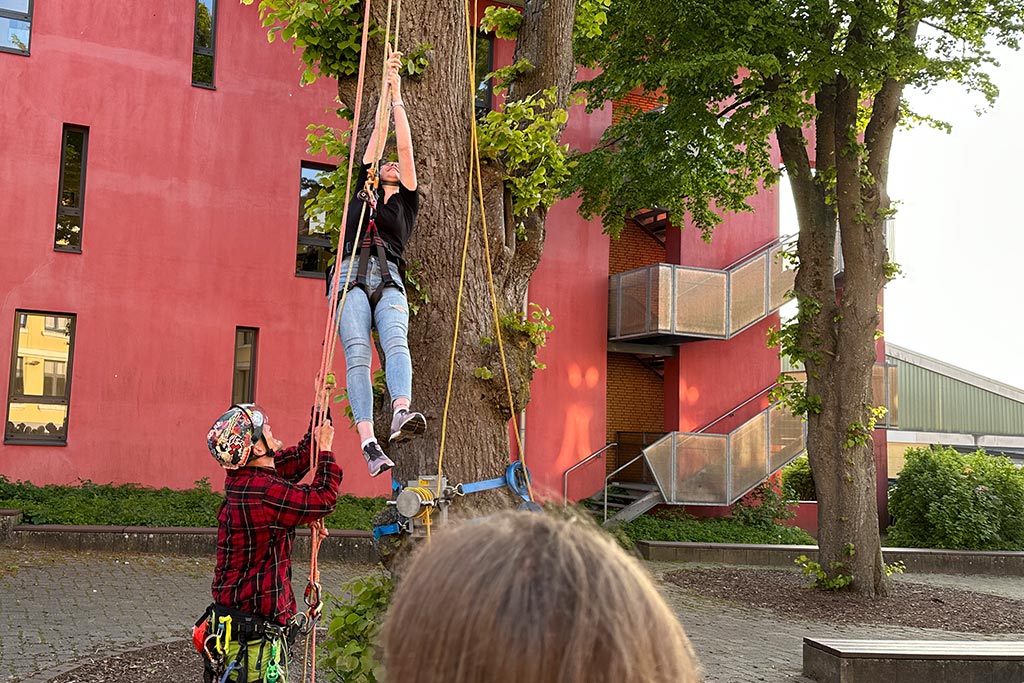 Schülerin klettert Baum hoch