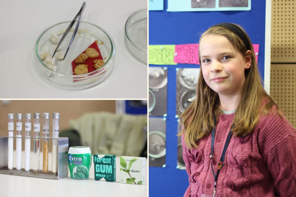 Julia (10) vom Gymnasium Wellingdorf hat einen biologisch abbaubaren Kaugummi entwickelt – mit Erfolg: Sie hat sich für den Landeswettbewerb am 25. März qualifiziert